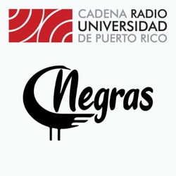 Rosa Elena Carrasquillo: Negritudes, memorias históricas y culturas audiovisuales afrocaribeñas