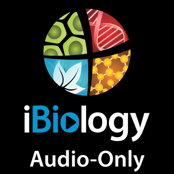 iBiology Videos (Audio Only) Artwork