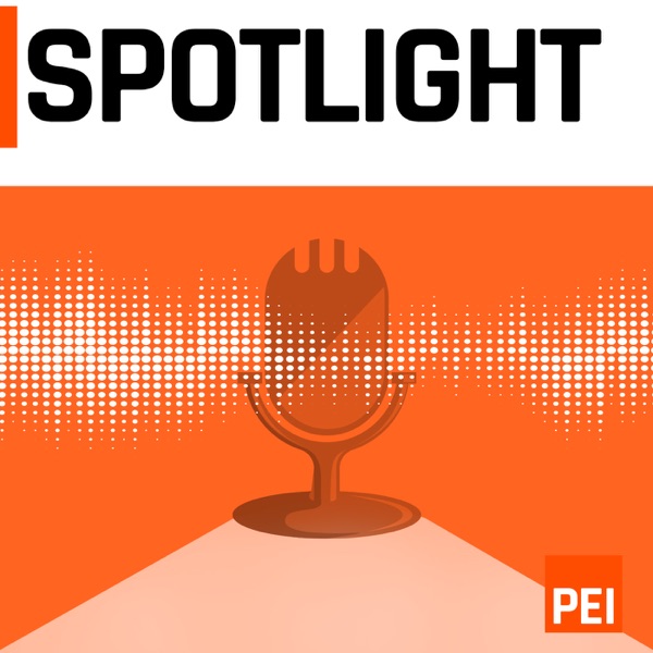 Spotlight Podcast - Private Equity International
