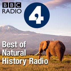 Natural Histories : Sloth