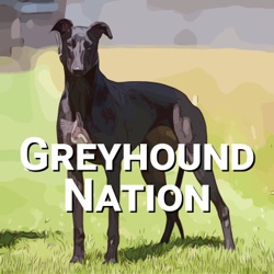 Greyhound Breeding with Michael Strickland – Greyhound Nation – Podcast –  Podtail