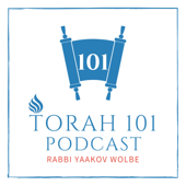 TORAH 101 - With Rabbi Yaakov Wolbe - TORCH