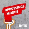 Oppussingsmodus