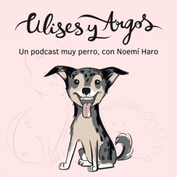 45. Productos caninos con alma de galgo, con Paz de Haciendo el Galgo