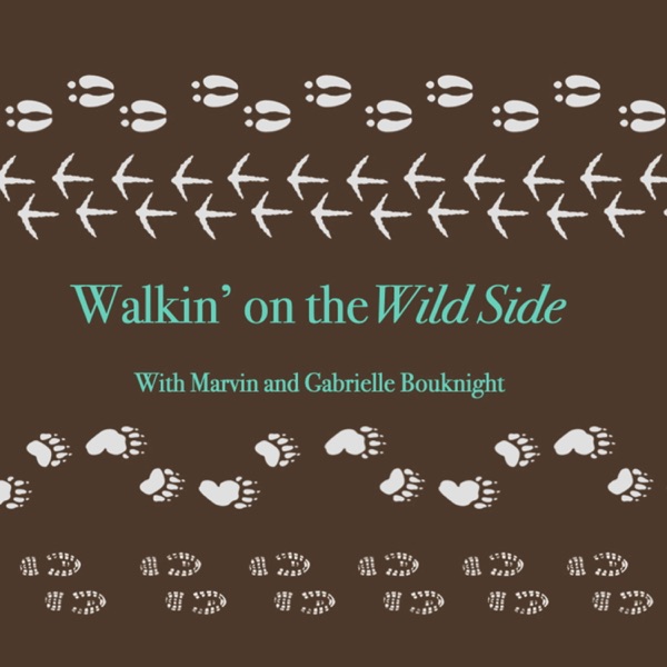 Walkin' on the Wild Side Artwork