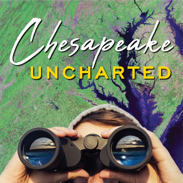 Chesapeake Uncharted Artwork