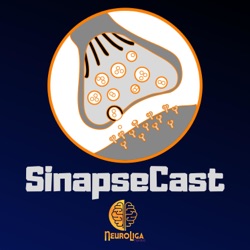 SinapseCast #01: História da sinapse