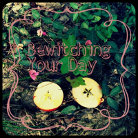 Bewitching Your Day 13-  Wren