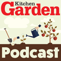 117 - An Interview with Joe Swift