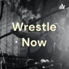 Wrestle Now artwork