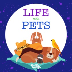 Ruffle Snuffle Life With Pets