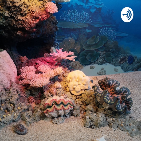 Coral reefs podcast Ft. Dr Henrick Artwork