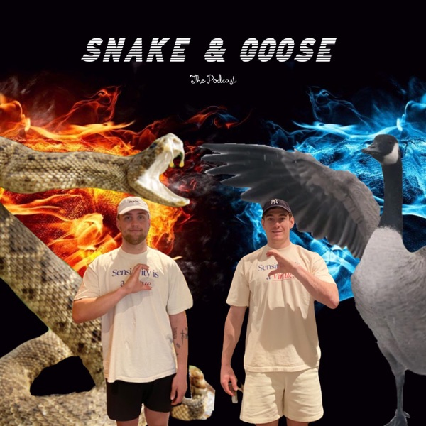 Snake & Goose: The Podcast Artwork