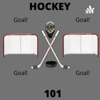Hockey 101 artwork