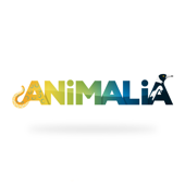 Animalia - Animalia Media
