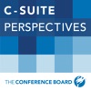 C-Suite Perspectives artwork