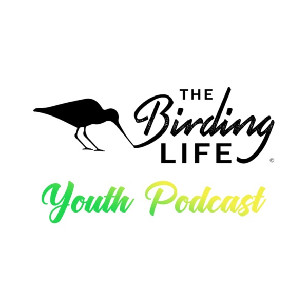 The Birding Life Youth Podcast Artwork