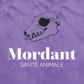 MORDANT - Mordant