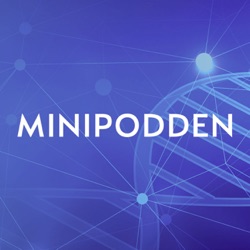 Minipodden