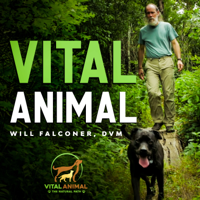 Susan Thixton: Your pet food advocate