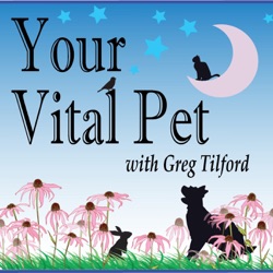 Your Vital Pet