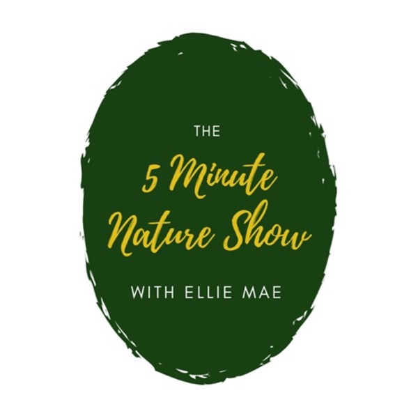 5 Minute Nature Show Artwork