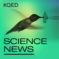 KQED Science News podcast
