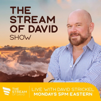 Global Reset with Liza Jane Wolf