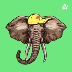 Memória de Elefante 