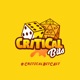 Critical Bits Finale Q&A