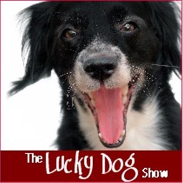 Lucky Dog Show - Fun Unleashed Artwork