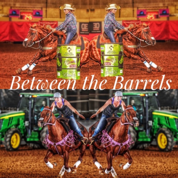 Between the Barrels Artwork