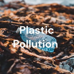 Plastic Pollution 