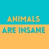Animals are Insane artwork