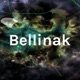 Bellinak: Spelljamming Through The Dungeons and Dragons Multiverse
