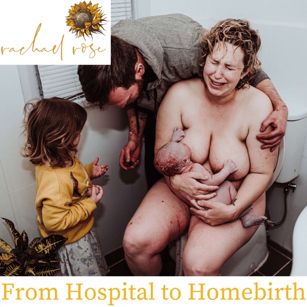 From Hospital to Homebirth with Rachael Rose Artwork