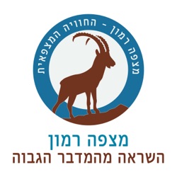 על נוודות דיגיטלית, בודהיזם ובורסה - זיו סגל