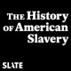 The History of American Slavery