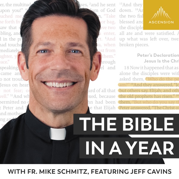 The Bible in a Year (with Fr. Mike Schmitz) Artwork