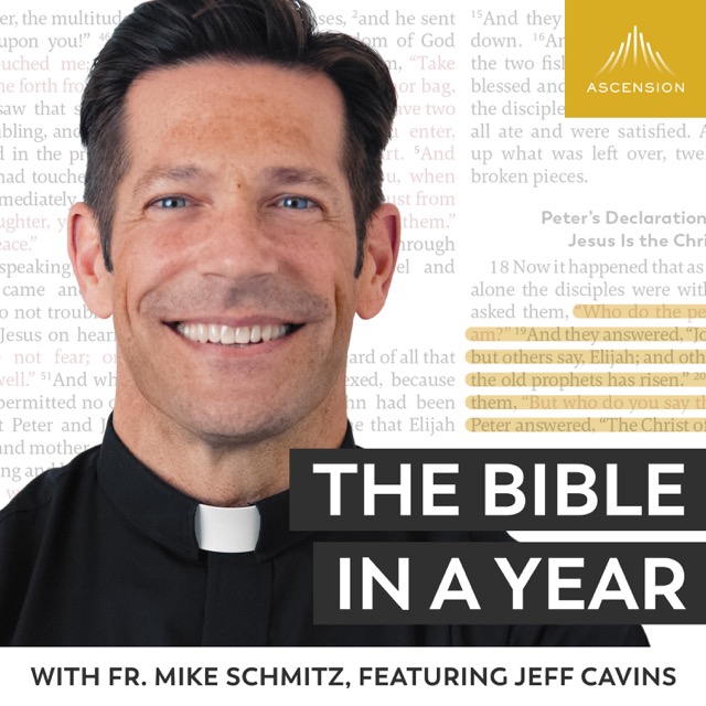 Day 132: David and Absalom – The Bible in a Year (with Fr. Mike Schmitz