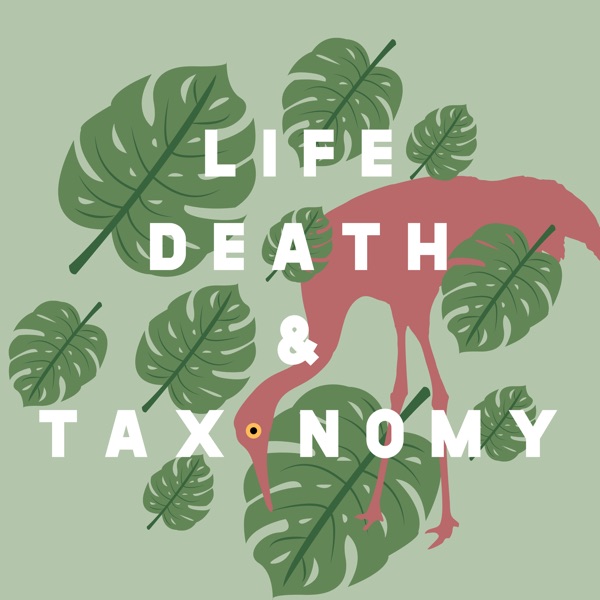 Life, Death, and Taxonomy Artwork