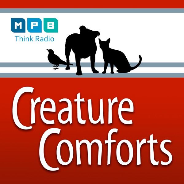 Creature Comforts Artwork