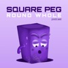 Square Peg Round Whole artwork