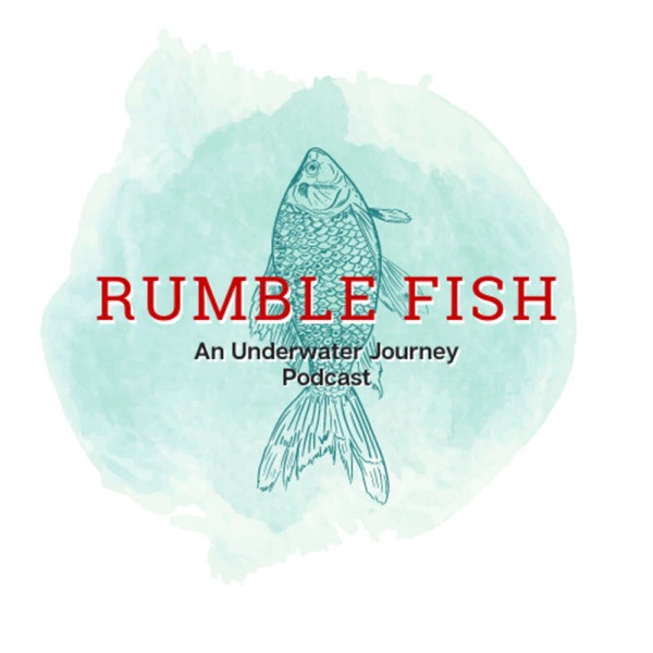 Rumble Fish Artwork