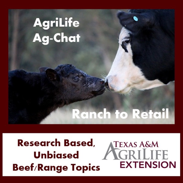 Texas A&M AgriLife Ranch to Retail Artwork
