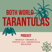 Both World Tarantulas - Kat & Martin