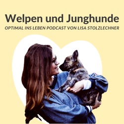 Interview: Kind und Hund mit Expertin Claudia Peter-Plum