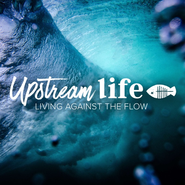 Upstream Life Artwork