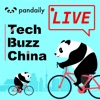 TBC China Tech Livecast by Pandaily artwork