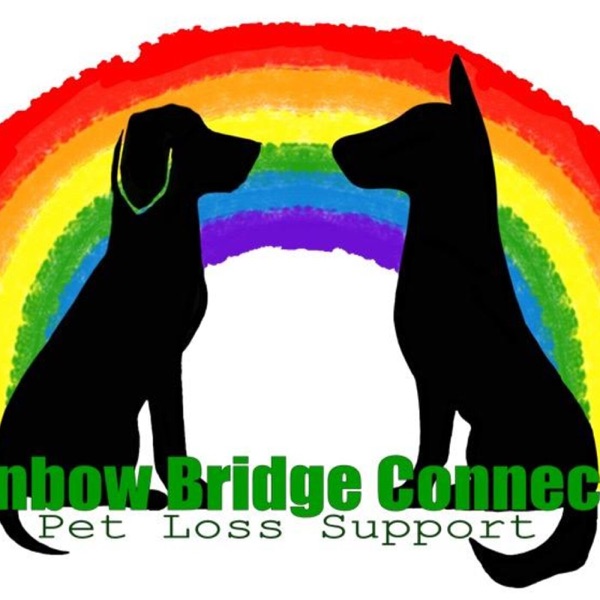 Rainbow Bridge Connection- Pet loss support Artwork